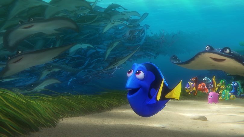 SO MANY STINGRAYS — In "Finding Dory," memories of her past are sparked for forgetful blue tang Dory when a stingray migration whizzes by her. Featuring the voices of Ellen DeGeneres, Albert Brooks, Ed O'Neill, Kaitlin Olson, Ty Burrell, Eugene Levy and Diane Keaton, “Finding Dory” swims into theaters June 17, 2016. ©2016 Disney•Pixar. All Rights Reserved.