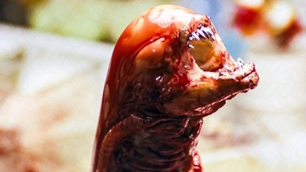 Chestburster